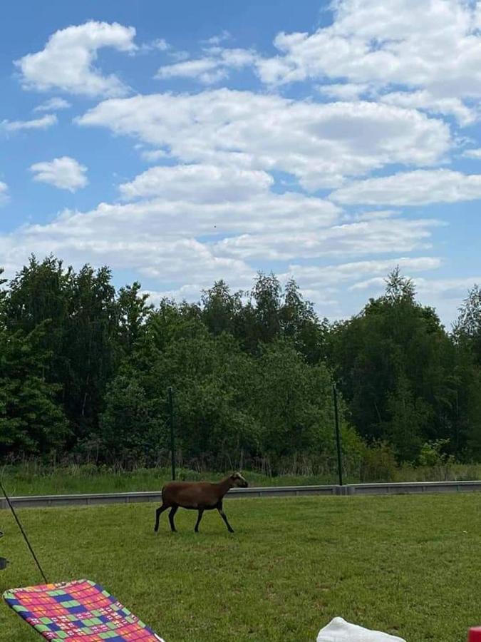 Gosp. Agroturystyczne Stary Gaj