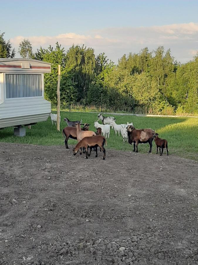 Holiday home Gosp. Agroturystyczne Stary Gaj Zerkowice