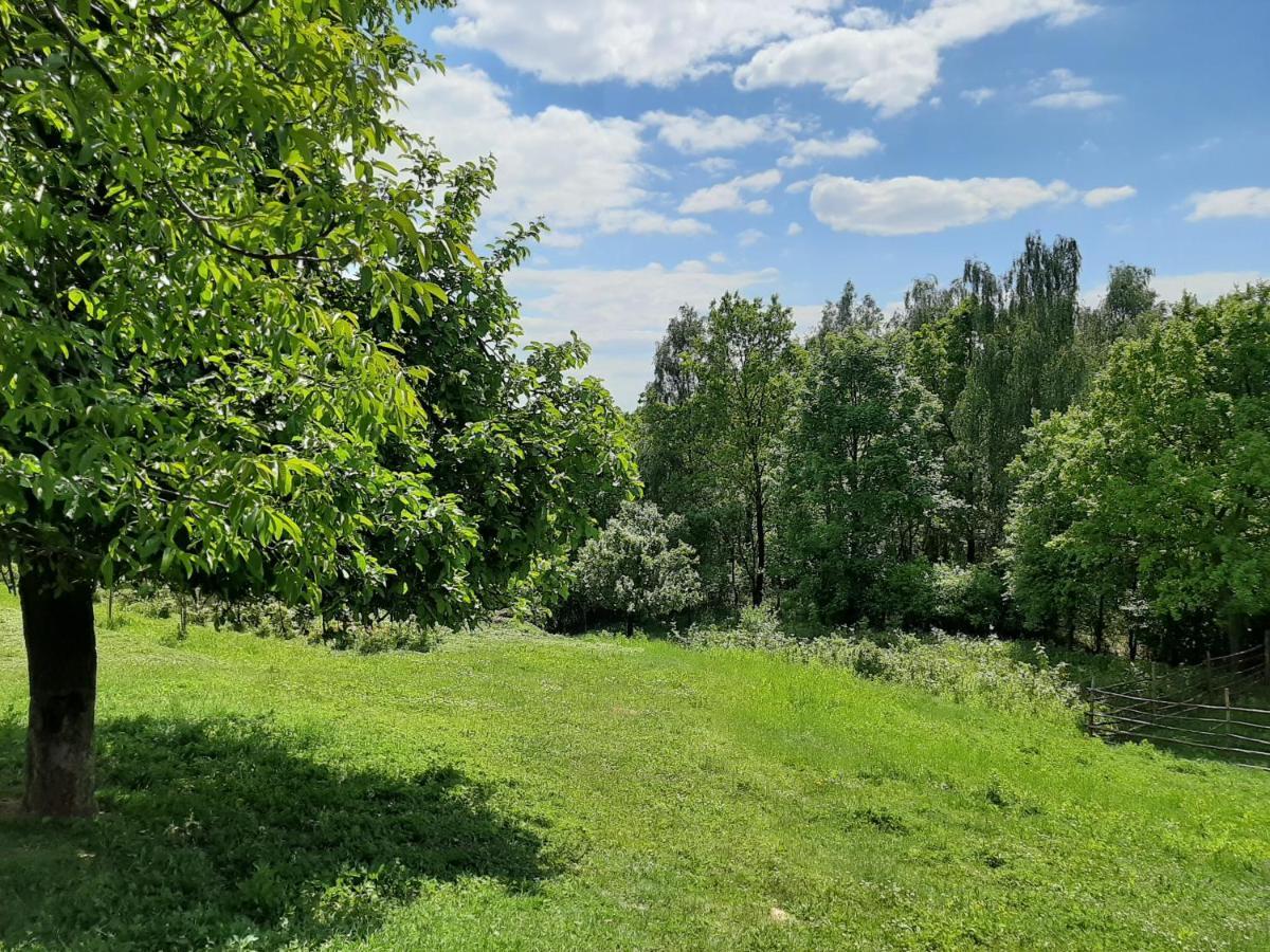 Gosp. Agroturystyczne Stary Gaj * Zerkowice