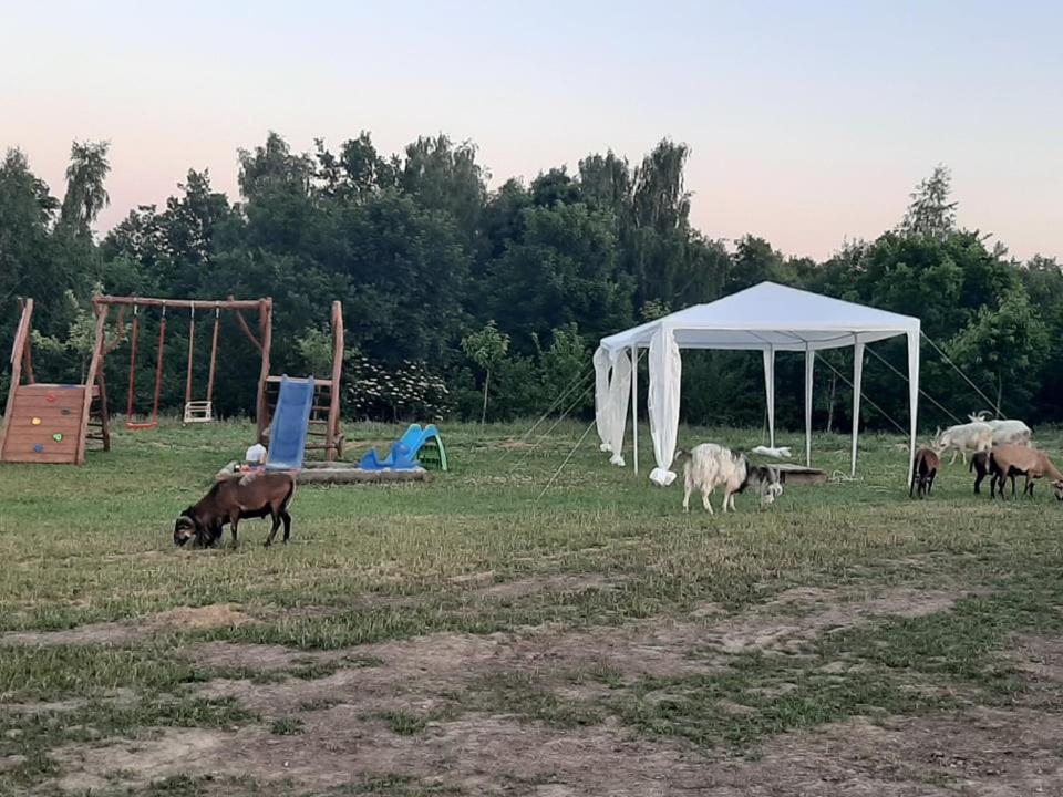 Gosp. Agroturystyczne Stary Gaj * Zerkowice